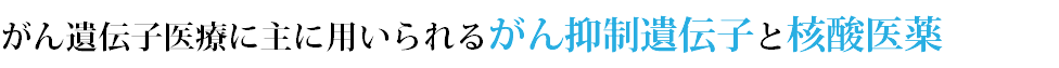 がん遺伝子医療に主に用いられるがん抑制遺伝子と核酸医薬